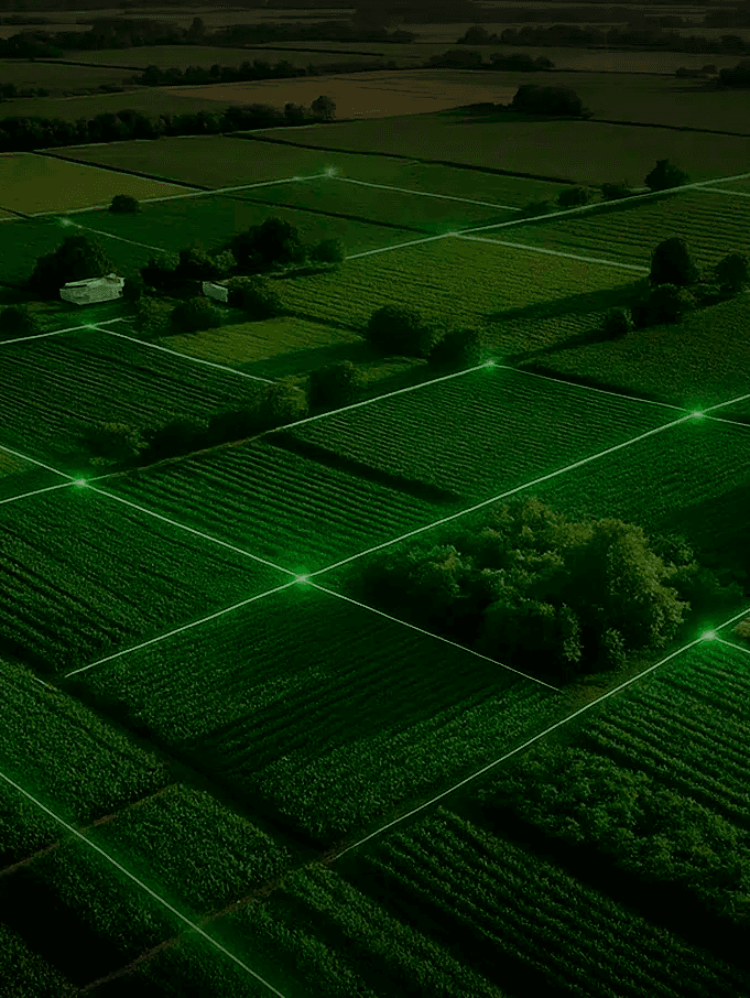 Aerial view of farm field